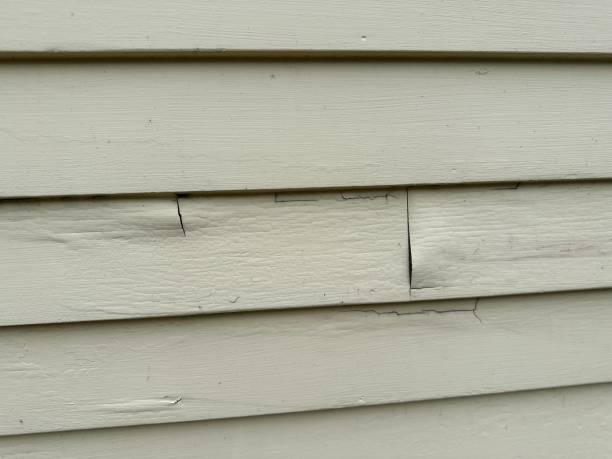 Reliable Campbell, FL Siding Installation & Repair Solutions